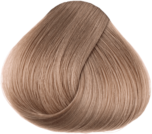 Apricot Blush