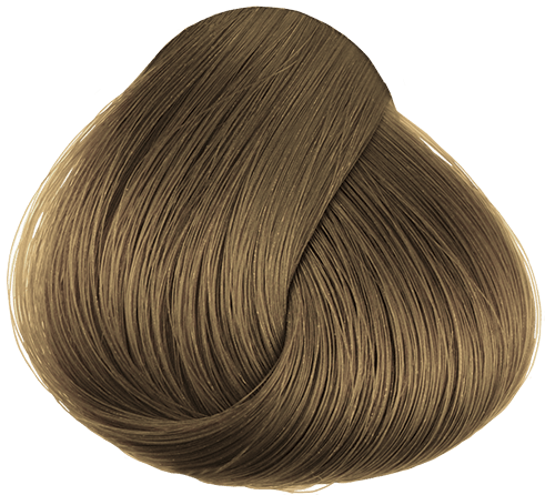 Eucalyptus Brown