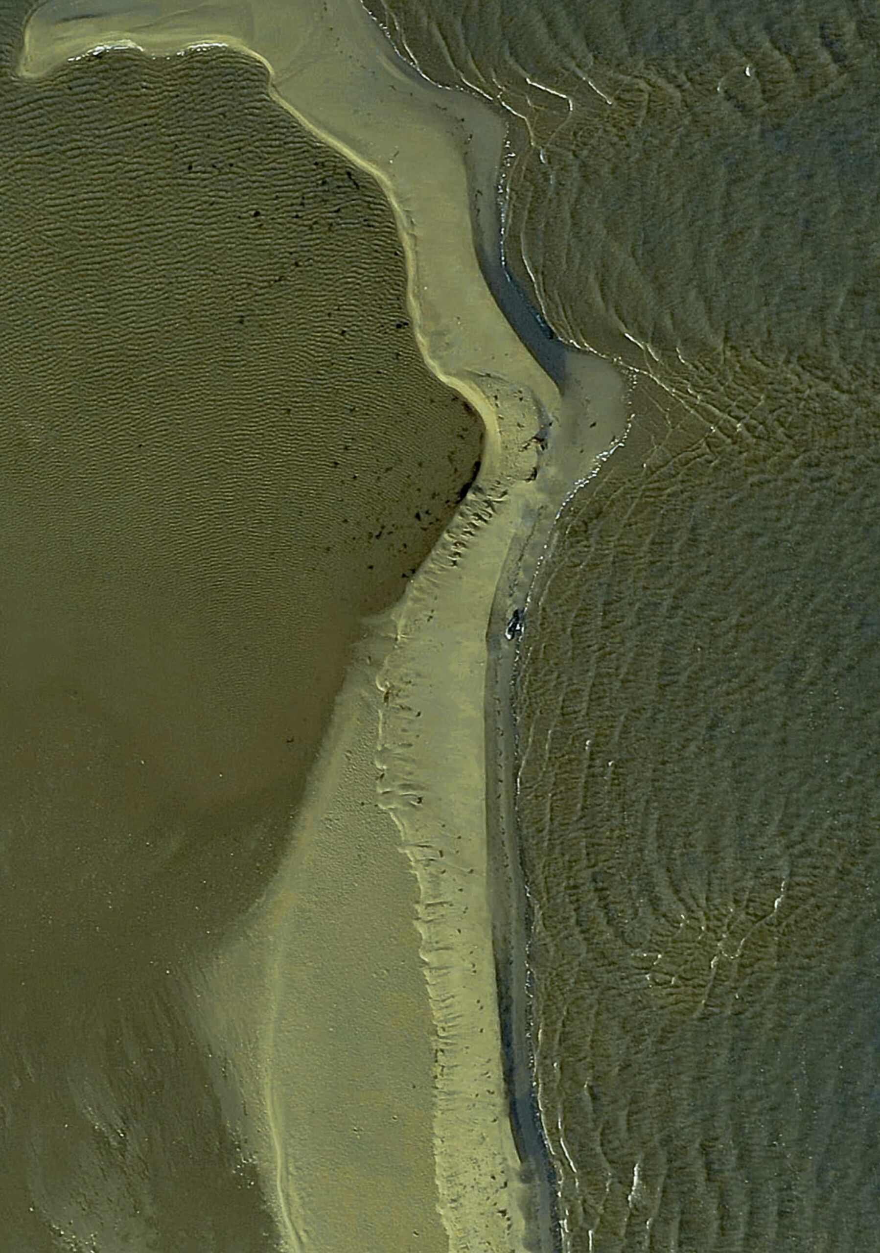 Aerial view of a green shoreline