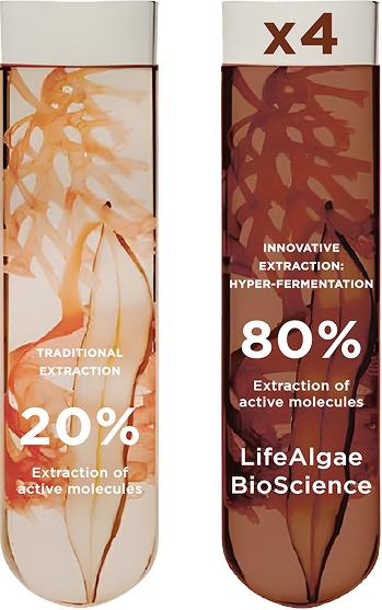 Traditional extraction at 20% of active molecules against innovative hyper-fermentation extraction at 80%.